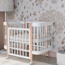 IMG_20260130_115135_006